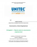 Comunicación y Cultura Organizacional Entregable 1 – Reporte sobre la comunicación organizacional