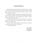 Desarrollo de actividades de índole social que ofrezcan defensa a los niños y niñas de esa institución.