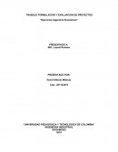 TRABAJO FORMULACION Y EVALUACION DE PROYECTOS.