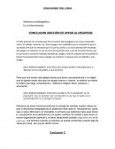 CONCLUSIONES TESIS LEÍDAS