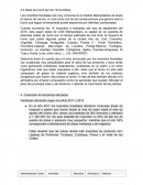 Nube de humo por los 19 incendios