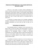 PRINCIPALES PROBLEMÁTICAS Y SOLUCIONES DENTRO DEL SALON DE CLASES