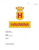 Canales de distribución Havanna