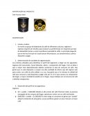 MARKETING> IDENTIFICACIÓN DEL PRODUCTO.