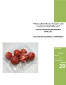 Elaboración de productos.
