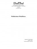 Meditaciones Metafísicas.