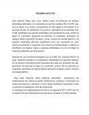 TEMA> RESUMEN EJECUTIVO.