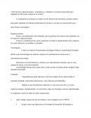 Qué factores organizacionales, tecnológicos y culturales es necesario desarrollar para implantar un SIE como el descrito en el caso?