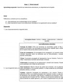 Aprendizaje esperado: Describir las instituciones americanas y su dependencia de España.