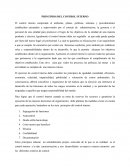 PRINCIPIOS DEL CONTROL INTERNO.