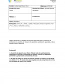 Formulas adecuadas para la resolución de problemas con variables de temas de tiro parabólico, aceleración