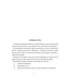 La displasia broncopulmonar (DBP)