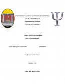 Ensayo de entrevistas. Ensayo sobre la personalidad