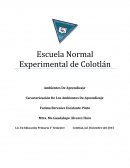 Caracterización De Los Ambientes De Aprendizaje