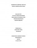 DESPERDICIO DE EMPAQUE LINES.