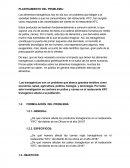 Los alimentos transgénicos hoy en día son un problema que fatigan a la sociedad