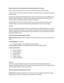 Diversos tipos de turismo alrededor del mundo principalmente en Europa