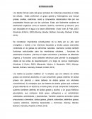 LIPIDOS INTRODUCCION