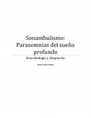 Sonambulismo: Parasomnias del sueño profundo.