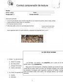 Control comprensión de lectura