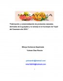 Guayaba y naranja del casanare: Innovación sostenible en productos naturales