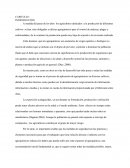 Medidas de Seguridad Para La aplicación de Agroquímicos