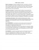 Tejidos órganos y sistemas