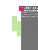 ENSAYO ZONA DE DESARROLLO PROXIMO