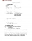 Informe neuropsicologico de Ortiz