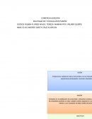 COMERCIALIZADORA BOUTIQUE DE “CHOCOLATES PASIÓN”