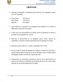 Agregados y Propiedades físicas.