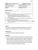Evidencia 2 de Física I : Cinemática y Dinámica