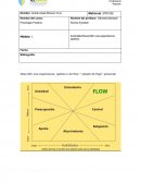 Actividad psicología positiva. Describir una experiencia optima