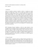 Jatropha semillas oleaginosas