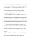 Actividad humana vs ambiente: La deforestación en México