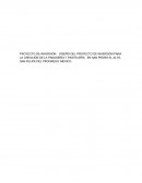 Proyecto de inversion. Como iniciar un negocio