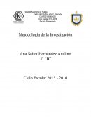 Horarios de Alimentacion