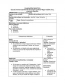 Planeación ramas de la enseñanza