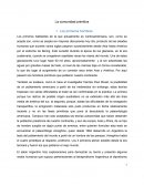 La comunidad primitiva Los primeros hombres