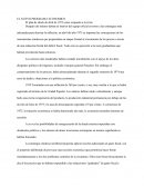 EL NUEVO PROGRAMA ECONOMICO