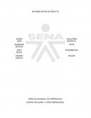 INFORME MATRIZ DE IMPACTO
