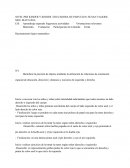 PLANIFICACION DIARIA RELACIONES LOGICO MATEMATICAS Y CUANTIFICACION.