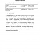 PLAN DE APOYO INDIVIDUAL.