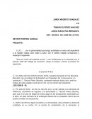 Alegatos materia mercantil