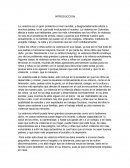 La violencia es un gran problema a nivel mundial, y desgraciadamente afecta a muchos países