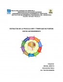 EXTRACTOS DE LA PELÍCULA SER Y TENER QUE NO FUERON VISTOS ANTERIORMENTE