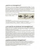 ¿qué es un transgénico?