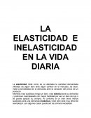 Elasticidad e Inelasticidad en la vida diaria