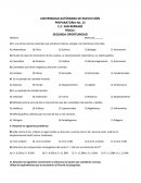 Ensayo fisica 2