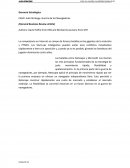 Gerencia Estratégica CASO:Judo Strategy- Guerra de los Navegadores (Harvard Business Review Article)